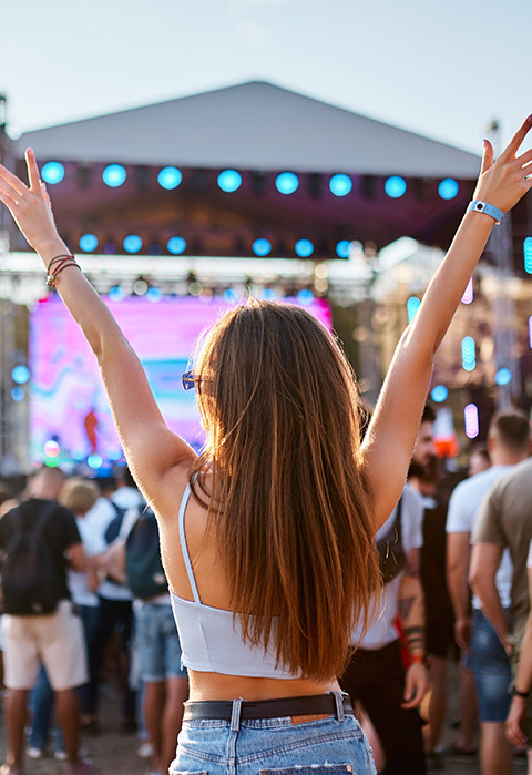 Event, Concert and Game Security