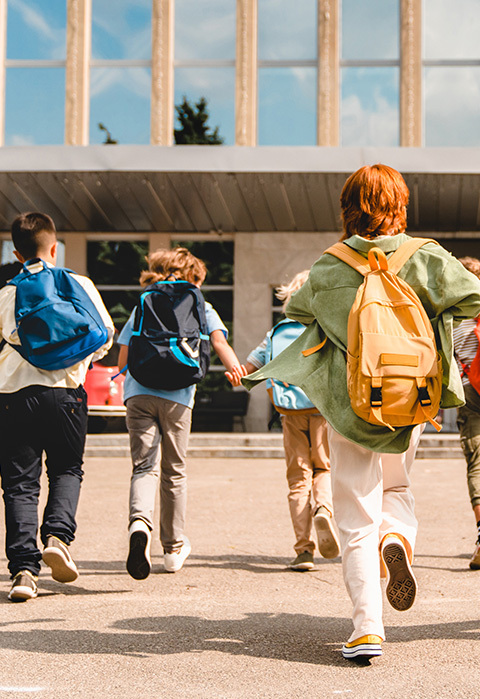 School Surveillance and Security